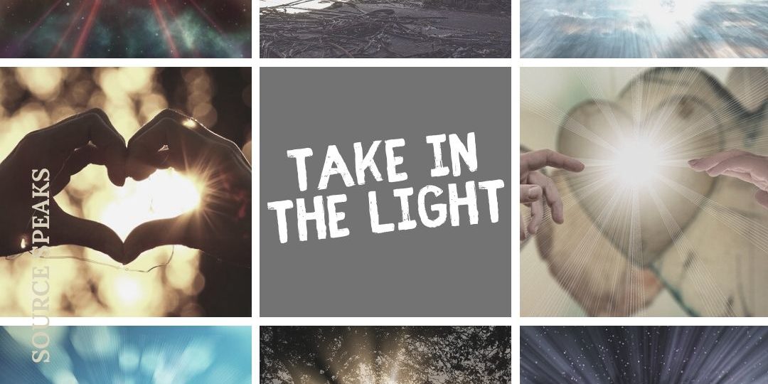 Copy of Brown Plain Collages Facebook Post